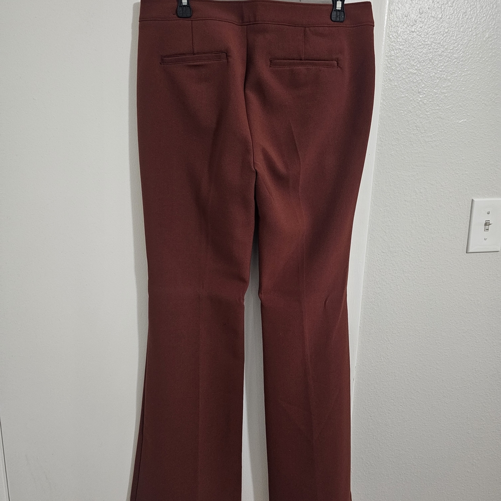 Express Rich Rust Pants 33 length